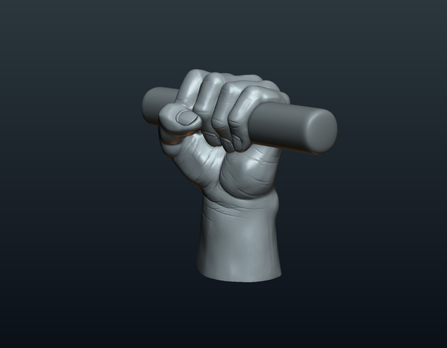 Fist Hand  3D Print 242220