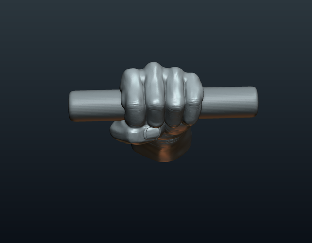 Fist Hand  3D Print 242221