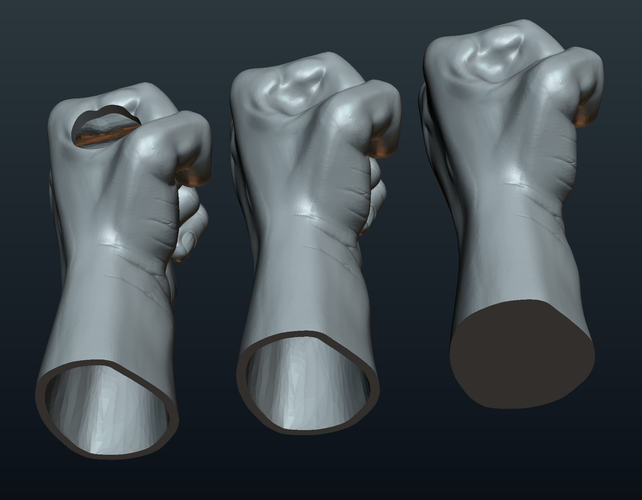 Fist Hand  3D Print 242222