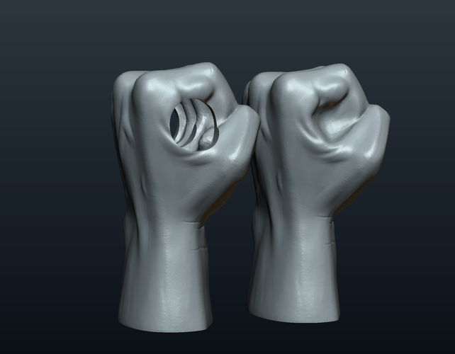 Fist Hand  3D Print 242223