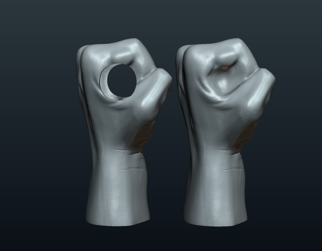Fist Hand  3D Print 242224