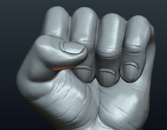 Fist Hand  3D Print 242225