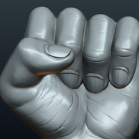 Fist Hand  - Thumbnail 12