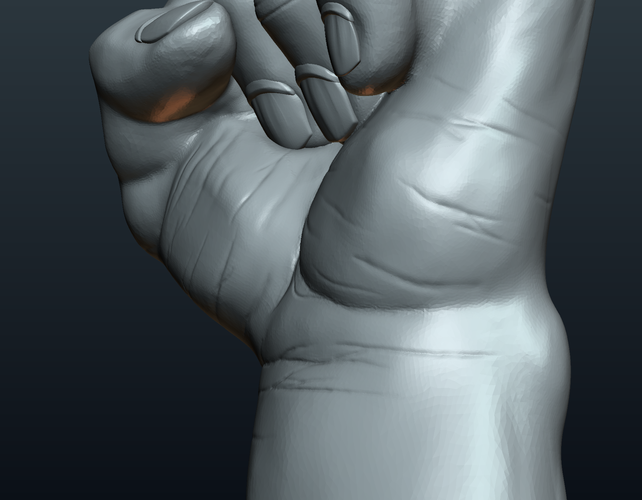 Fist Hand  3D Print 242226