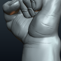 Fist Hand  - Thumbnail 13