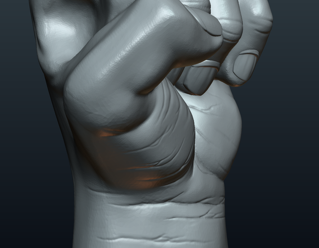 Fist Hand  3D Print 242227