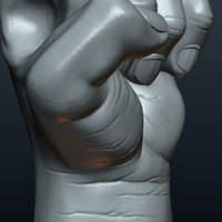 Fist Hand  - Thumbnail 14