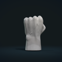 Fist Hand  - Thumbnail 21