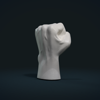 Fist Hand  - Thumbnail 22