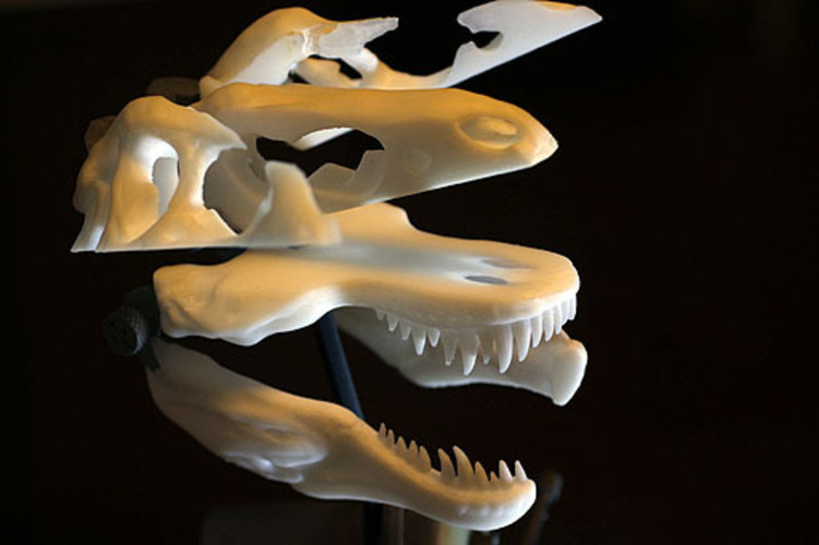 How To Section a T-Rex Skull 3D Print 24226