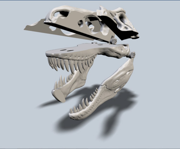 Exploded T-Rex Skull 3D Print 24227