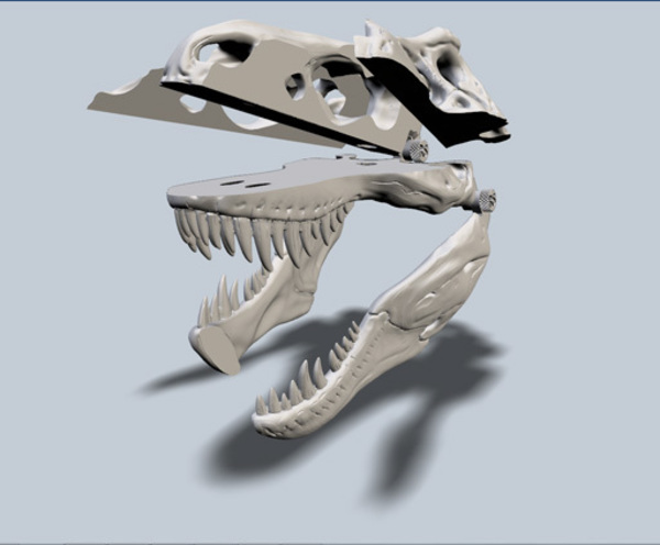 Exploded T-Rex Skull