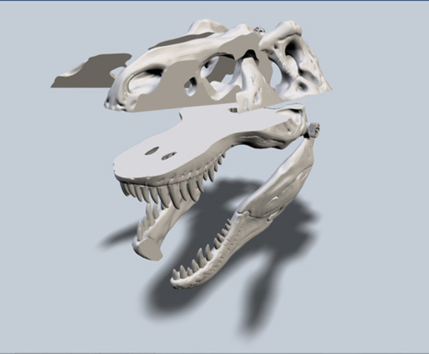 Exploded T-Rex Skull 3D Print 24228