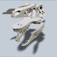 Exploded T-Rex Skull - Thumbnail 2