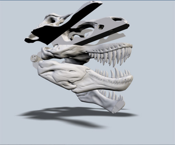 Exploded T-Rex Skull 3D Print 24229