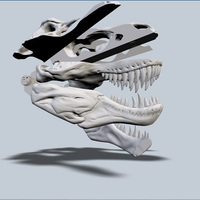 Exploded T-Rex Skull - Thumbnail 3