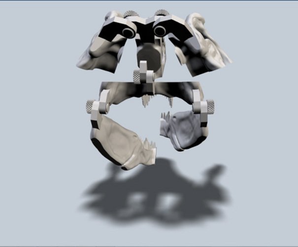 Exploded T-Rex Skull 3D Print 24230