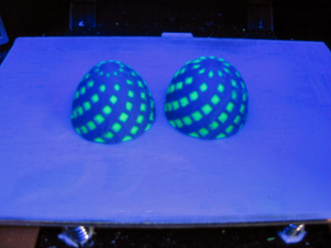 Bisected Egg Test 3D Print 24231
