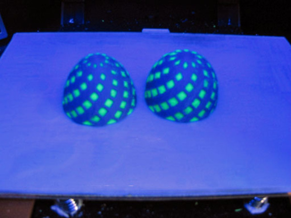 Bisected Egg Test
