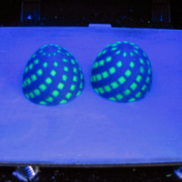 Small Bisected Egg Test 3D Printing 24231