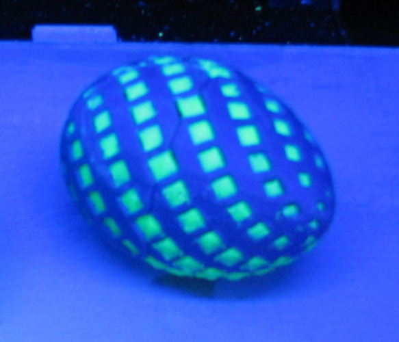 Bisected Egg Test 3D Print 24232