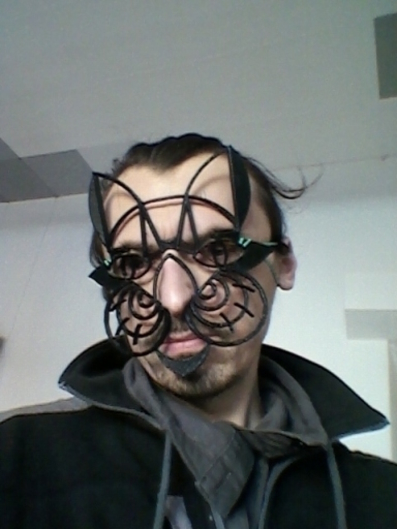Cat mask
