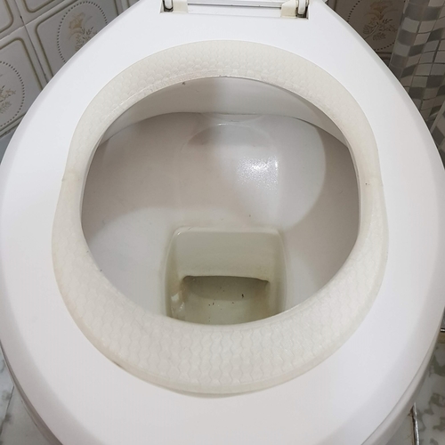 CAT TOILET TRAINING KIT - ASIENTO ENTRENADOR PARA GATO  3D Print 243070