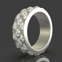 Small Jewelry Skulls Ring 3D Printing 243618