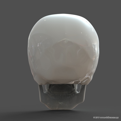 3d Printed Human Skull Model M3p1d1v1skull By Solidhumans Pinshape