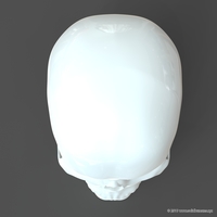 Human Skull model M3P1D1V1Skull - Thumbnail 5
