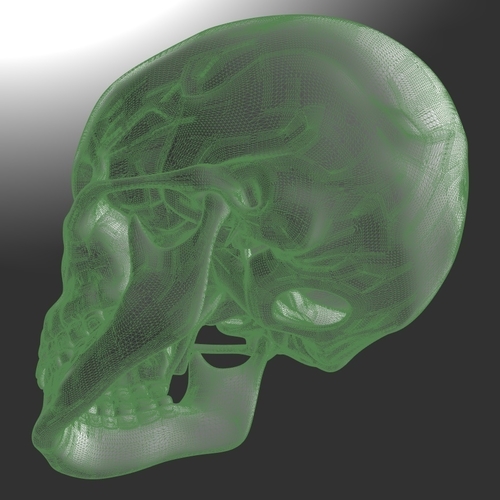 Human Skull model M3P1D1V1Skull 3D Print 244081