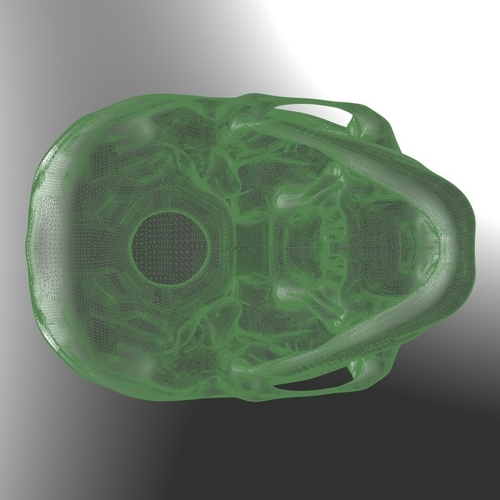 Human Skull model M3P1D1V1Skull 3D Print 244082