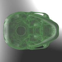 Human Skull model M3P1D1V1Skull - Thumbnail 13