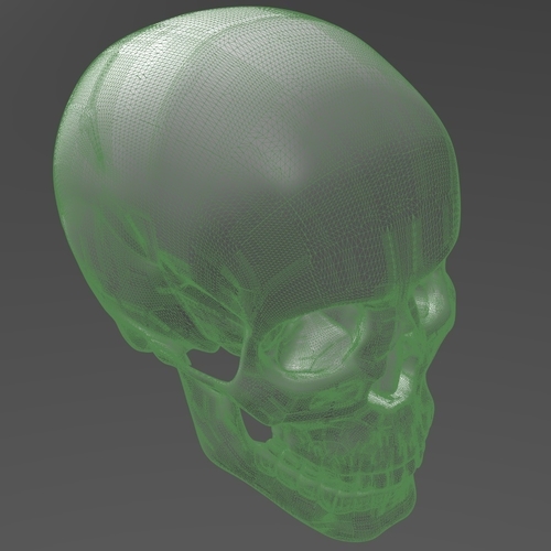 Human Skull model M3P1D1V1Skull 3D Print 244083