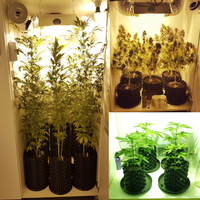 MATTROOTS LARGE - AIR POT SYSTEM - SISTEMA DE MACETAS AIREADAS - Thumbnail 2