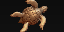 Image 244575