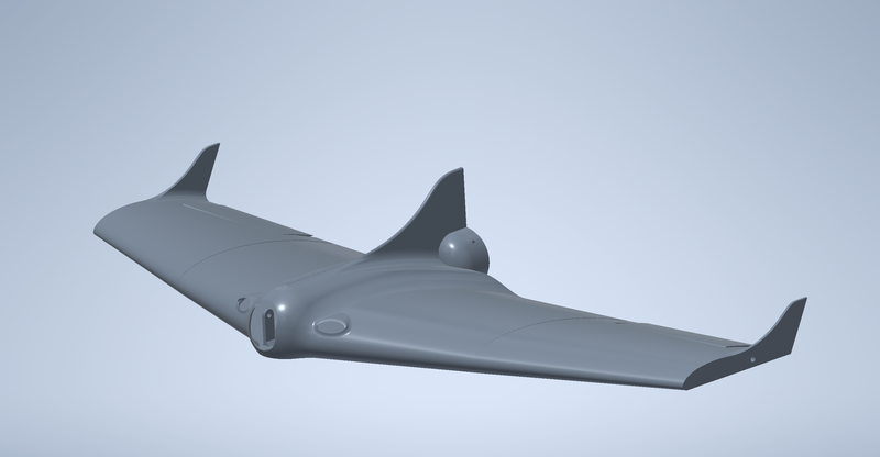 Fully Printed Flying Wing