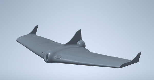 Fully Printed Flying Wing