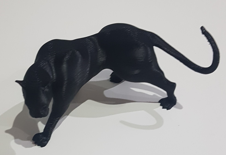 Yin yang panther 3D Print 244801