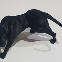 Yin yang panther - Thumbnail 1