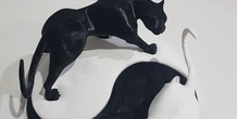 Image 244808
