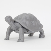 Small Tortoise 3D Printing 244914
