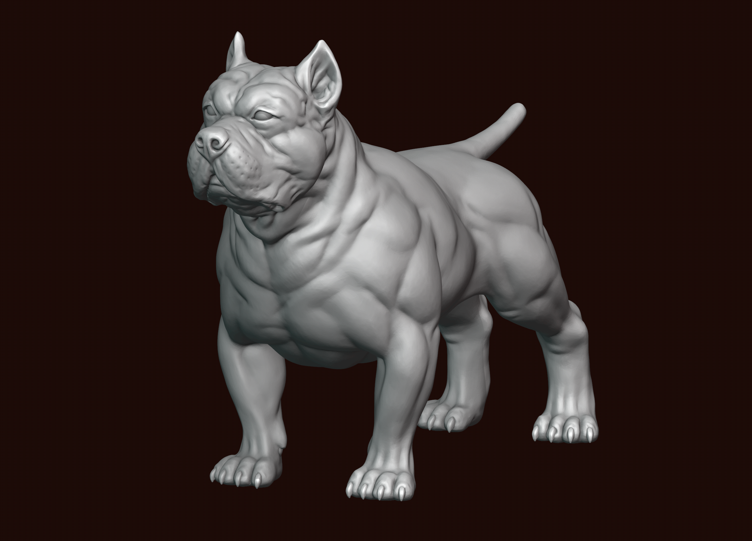 Американский бульдог булли. Американский булли 3d. Американский булли STL. American Bully 3d models.