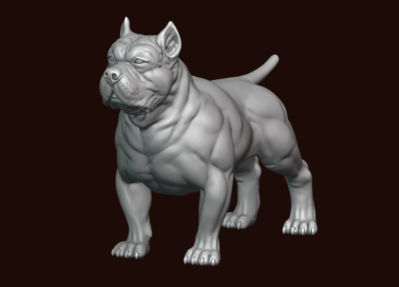 American Bully