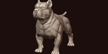 Image 244976