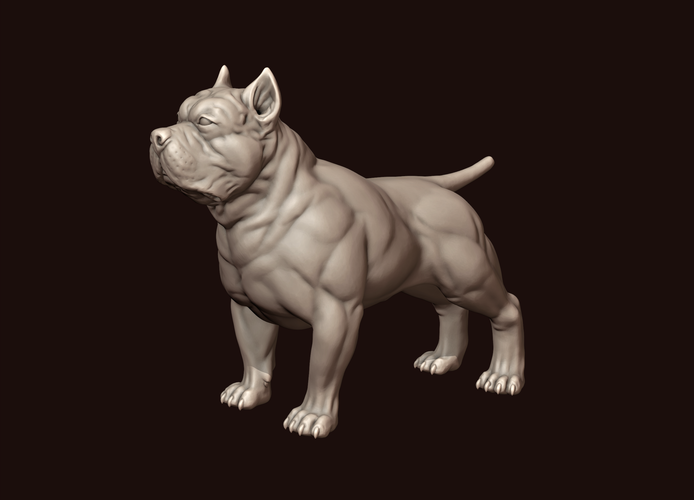 3,048 Small American Bully Dog Images, Stock Photos, 3D objects