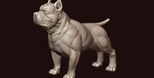 Image 244977