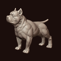American Bully - Thumbnail 3