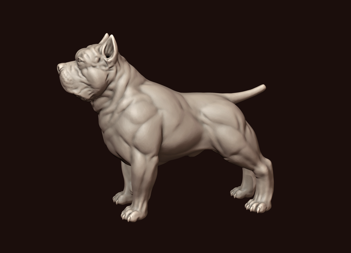 American Bully 3D Print 244978