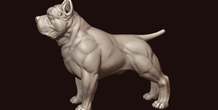 Image 244978